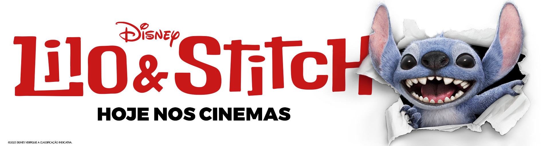 Banner Lilo & Stitch