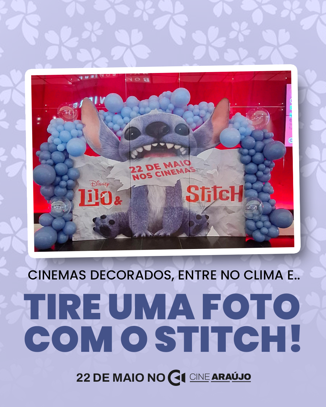 Poster Tire uma foto